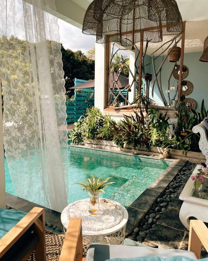 Chambres D'Hotes & Spa Le Jardin De Ravintsara Ravine des Cabris Ngoại thất bức ảnh
