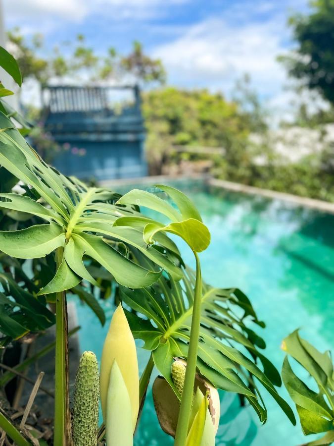 Chambres D'Hotes & Spa Le Jardin De Ravintsara Ravine des Cabris Ngoại thất bức ảnh